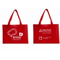 Sacola de TNT Personalizada 